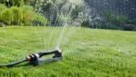 Rasensprenger: Tipps für einen grünen Rasen